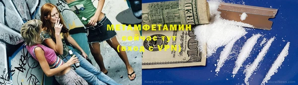 прущие грибы Билибино